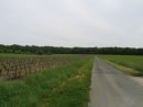 vers Souvigny de Touraine